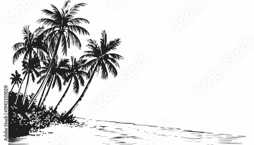 Palm trees stand on a sandy beach with clear water view