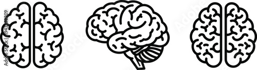 Three black and white brain illustrations isolated on transparent background