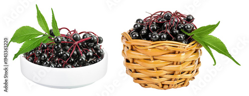 Ripe black elderberry or elder with green leaves in ceramic bowl and wicker basket isolated on a white background. Sambucus