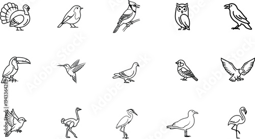 Bird Line Icons Set – Minimal Outline Birds Collection Isolated on Transparent Background