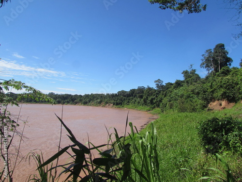 the large ricer in the amazon