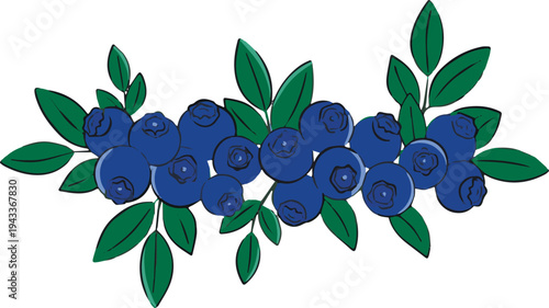 blueberry vignette horizont.eps