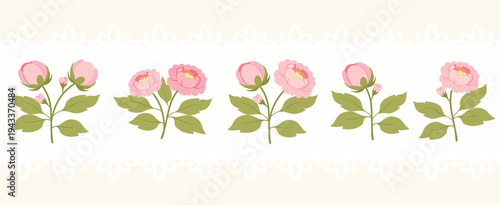 Exquisite Floral Border with Pink Peonies and Ornate White Lace Detail on Creamy Pastel Background