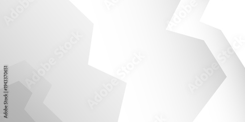 White and gray perspective line shape abstract background. banner modern design. vector illustration