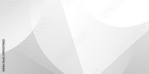 Abstract white and gray shape background. texture white pattern. vector illustration