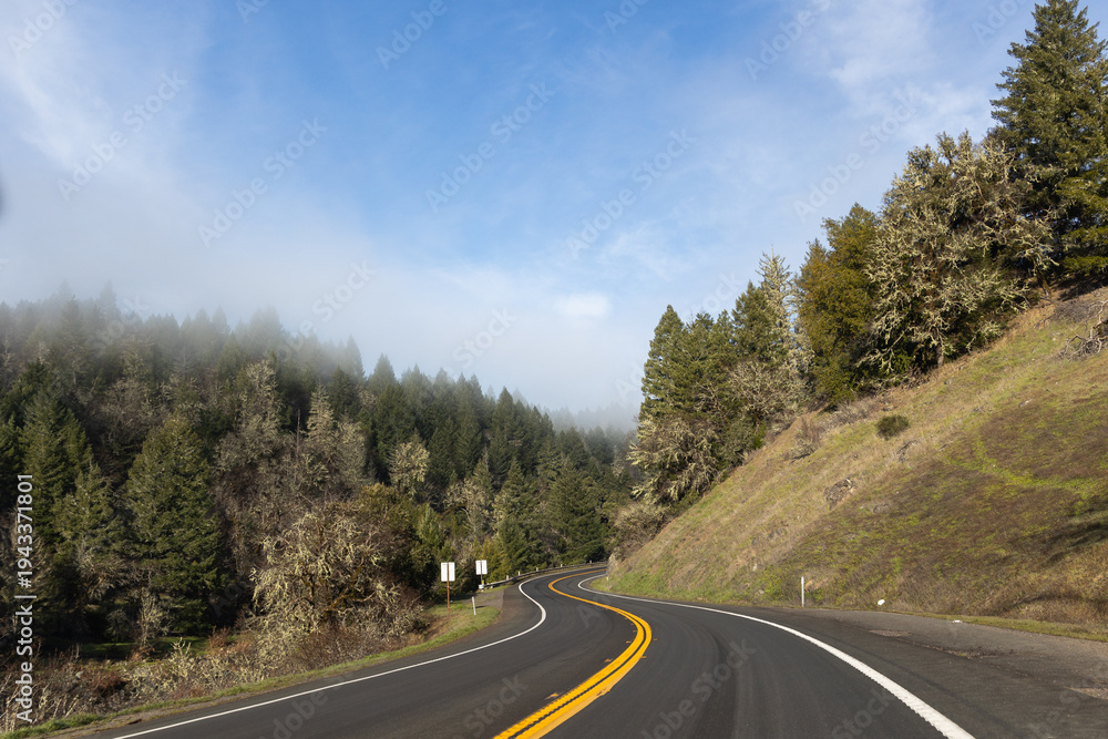 Naklejka premium A road through the mountains with trees