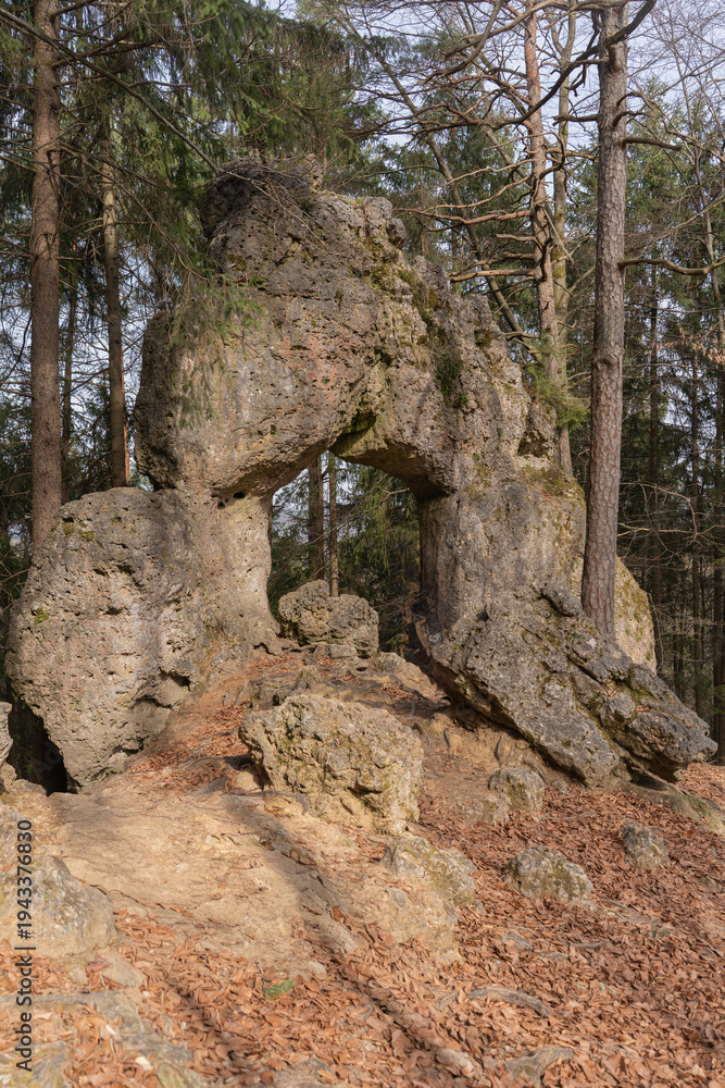 Obraz premium Natural stone arch in forest 