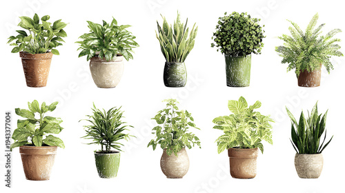 Ultra realistic HD assorted green plants potted foliage, isolated on white background
