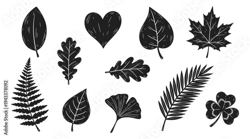 Collection of various leaf shapes and types