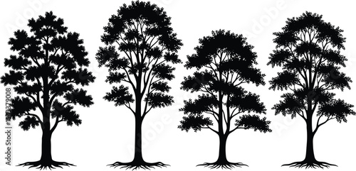 Silhouette illustrations of deciduous trees with exposed roots, trunks, branches, and foliage isolated on white background, perfect for nature, forestry, environment, and design projects