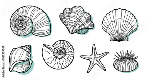 Ocean Life Collection: Hand-drawn designs of seashells and starfish