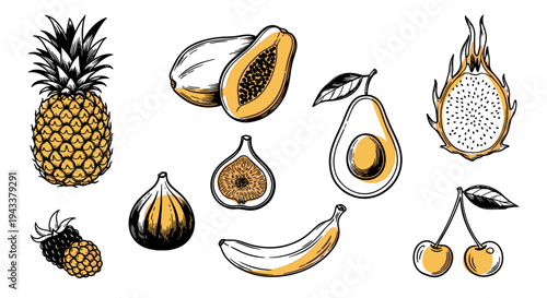Vibrant Hand Drawn Exotic Fruits Collection: Dragon Fruit Papaya Fig Avocado Banana