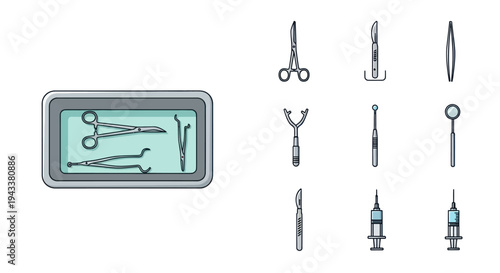 Surgical Instruments Set: Sterile Tools in Tray and Individual Instruments.