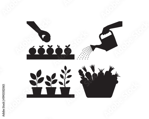 Black silhouette showing gardening activities planting seeds watering plants and harvesting vegetables in a basket on a white
