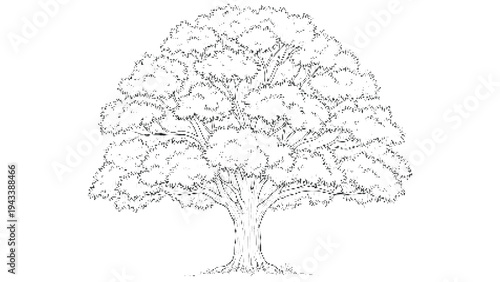 Outline drawing of a large majestic oak tree in halftone dot pattern, symbolizing strength and longevity, on transparent background
