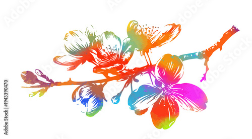 Cherry branches with flowers, colored sakura isolate on white background. Hand drawn. Not AI, vector illustration.