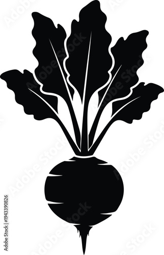 Silhouette beetroot with fresh leaves isolated vector illustration