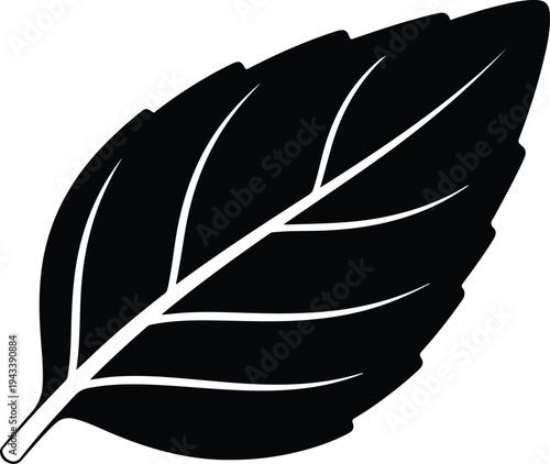 Silhouette black basil leaf with veins vector illustration