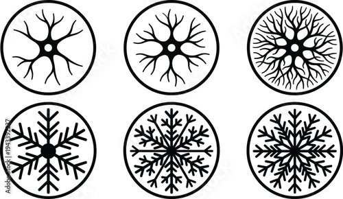 Circular icon set featuring organic root or nerve silhouettes and geometric snowflake patterns for science biology nature and winter design themes in vector style