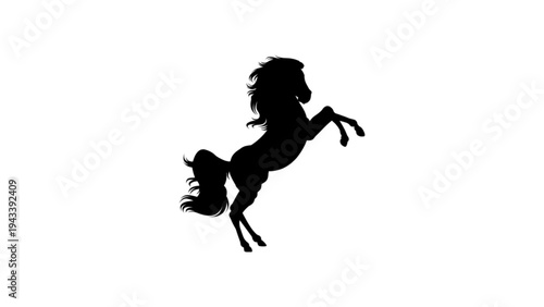 Black Horse Silhouette Rearing Up on White Background