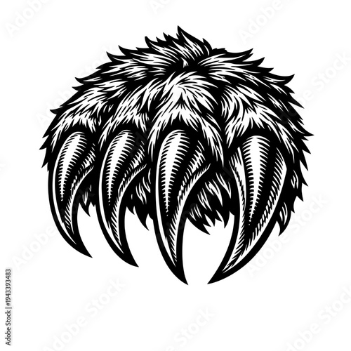 Powerful black and white bear paw illustration with formidable sharp claws and textured fur, rendered in a vintage woodcut engraving style. This bold graphic symbolizes raw strength, wild spirit, and