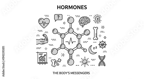 Human hormones concept illustration featuring chemical molecular structure and various body functions icons.