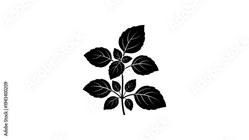 Elegant plant silhouette with detailed leaves in monochrome design