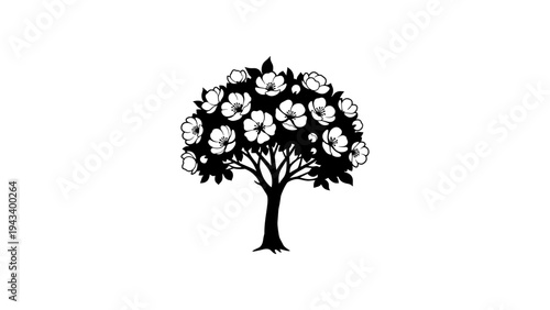 Silhouette of ornamental tree with blossoming flowers on white background