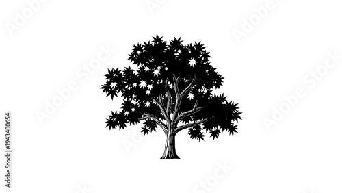 Majestic tree silhouette with detailed foliage on white background