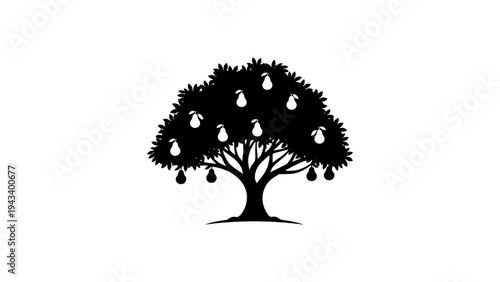 Elegant pear tree with fruit silhouettes on white background