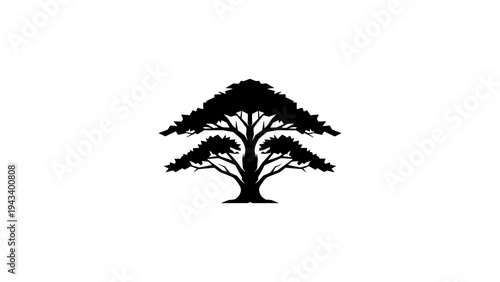 Elegant silhouette of a majestic tree with leafy branches on white background