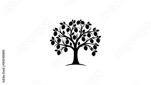 Elegant silhouette of a tree with leaves on a white background
