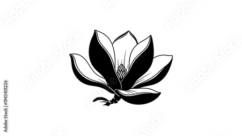 Black and white floral silhouette of a magnolia bloom