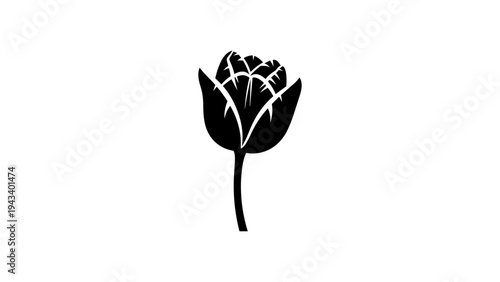Minimalist tulip silhouette design for elegant botanical projects
