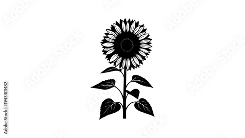 Silhouette sunflower on stem with leaves in bold black design