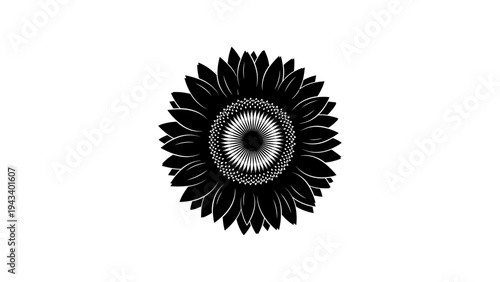Detailed black silhouette of sunflower with intricate petal patterns
