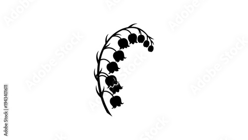 Elegant silhouette of lily of the valley flower on branch