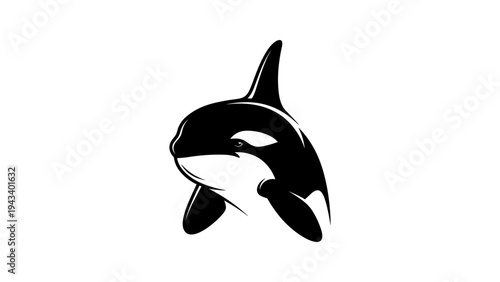 Orca silhouette design with bold black and white contrast for ocean themes