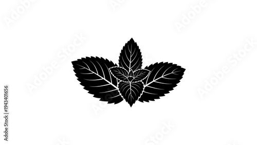 Black silhouette of mint leaves on white background