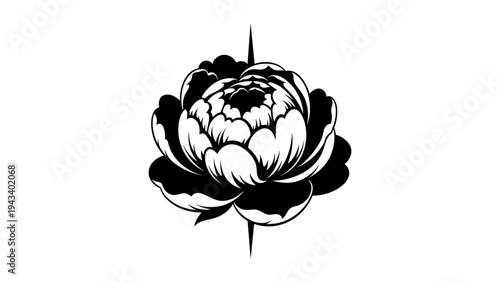 Intricate black and white peony graphic with bold contours on white background