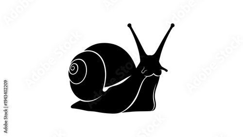 Black snail silhouette on white background for nature themes
