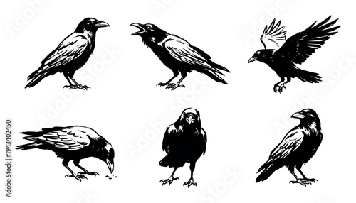 Collection of six black raven illustrations in different poses such as flying, cawing, and pecking, depicted in a bold, graphic, hand-drawn ink sketch artistic style