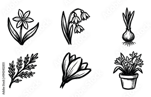 Set of six hand-drawn botanical illustrations featuring various spring flowers, a plant bulb, a leafy branch, and a potted plant in a simple, expressive ink sketch style