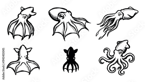 Set of hand-drawn octopus and squid illustrations in a black ink brush stroke style, featuring various poses and a simple silhouette design for a minimalist marine life concept
