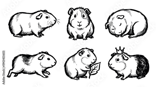 Set of six hand-drawn guinea pig illustrations in various cute poses, including sleeping, running, eating a leaf, and wearing a crown, rendered in a charming black ink sketch style