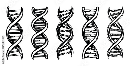 Five hand-drawn black DNA helix structures in a sketchy ink style, showcasing a collection of genetic molecule illustrations for scientific or educational concepts