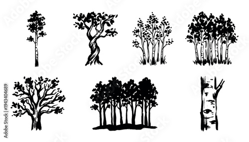 Set of hand-drawn black tree silhouettes in an artistic ink brush stroke style, featuring various forest elements like birch groves, single oaks, and detailed trunks