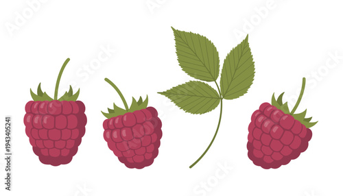 Three Ripe Raspberries and a Green Leaf Cluster