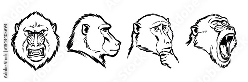 Set of four expressive primate heads drawn in a bold black ink brushstroke style, showcasing a range of emotions including anger, calmness, sadness, and aggression