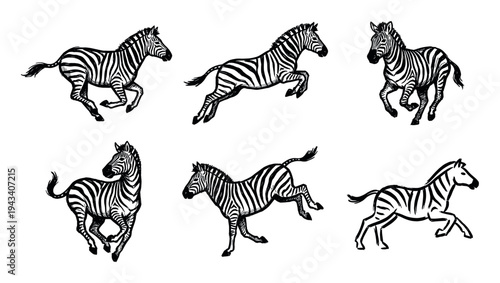 Set of six hand-drawn zebras in various dynamic running and jumping poses, depicted in a bold black and white graphic ink sketch illustration style for a wildlife concept